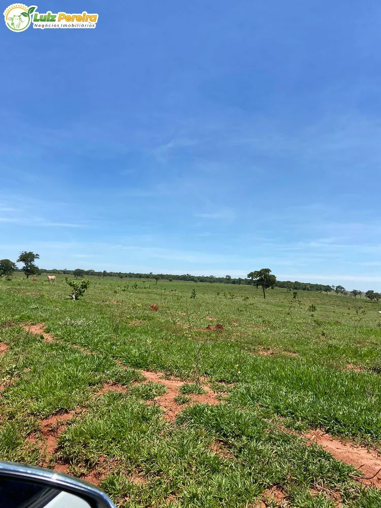 Terreno, 451 hectares - Foto 8