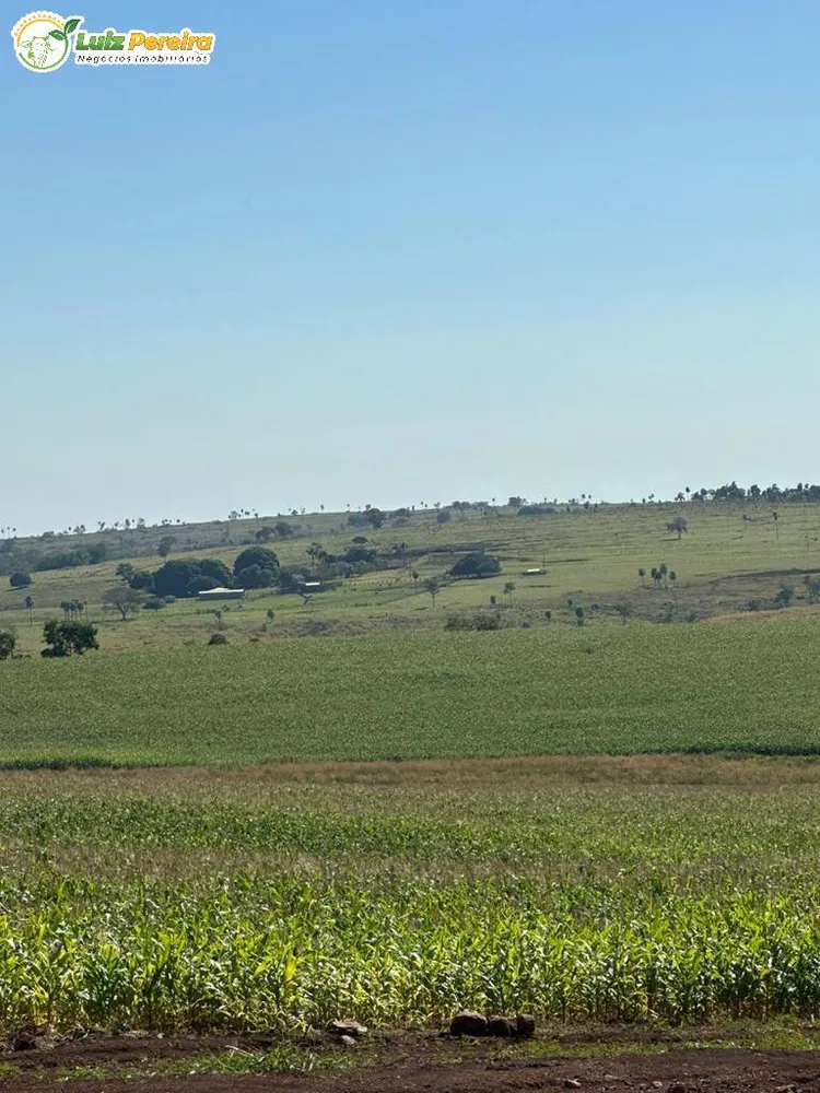 Terreno, 1250 m² - Foto 5