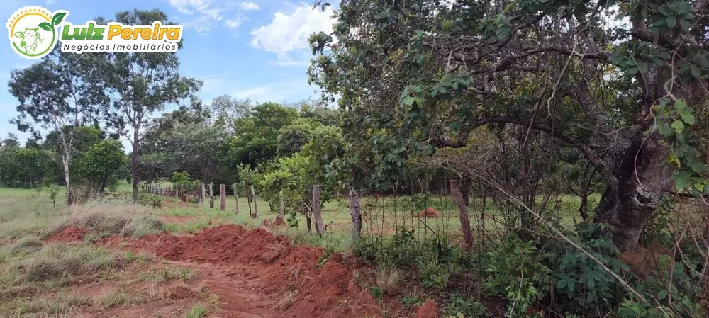 Terreno, 1185 m² - Foto 6