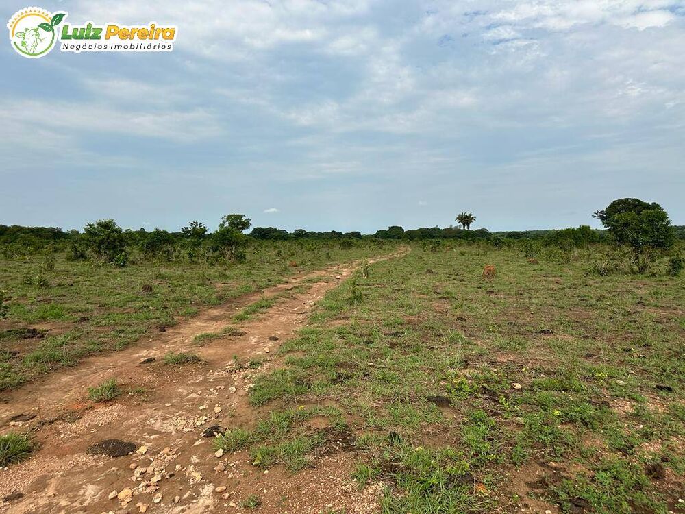 Terreno, 2710 m² - Foto 6