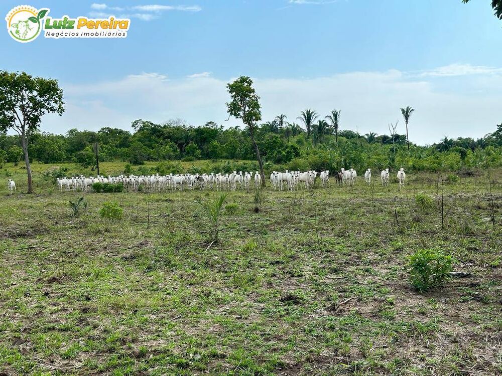 Terreno, 2710 m² - Foto 1