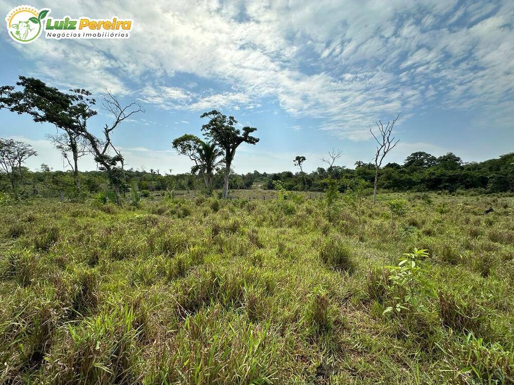 Terreno, 2710 m² - Foto 3