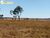 Terreno, 2420 hectares - Foto 3