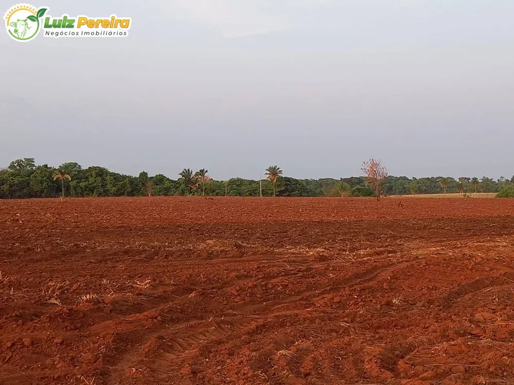 Terreno, 300 m² - Foto 3