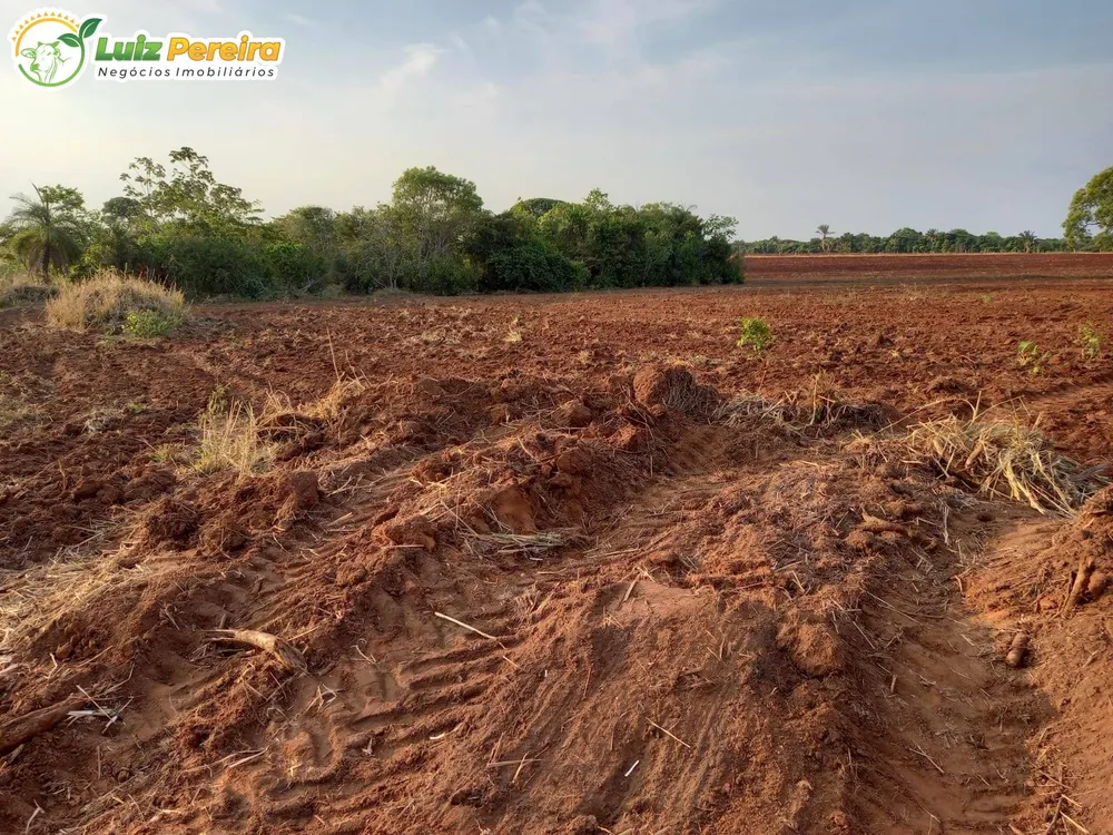 Terreno, 300 m² - Foto 9