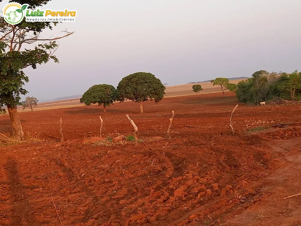 Terreno, 300 m² - Foto 10