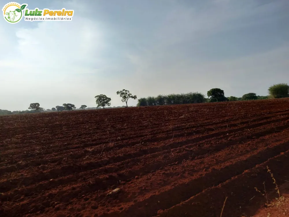Terreno, 300 m² - Foto 6