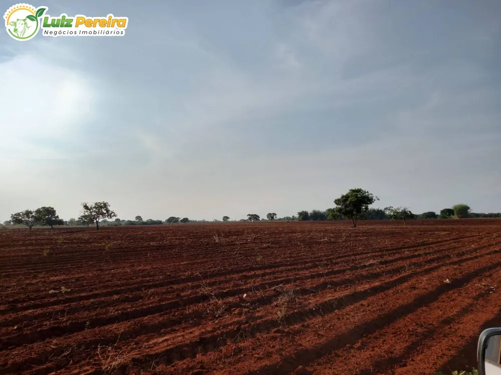 Terreno, 300 m² - Foto 7