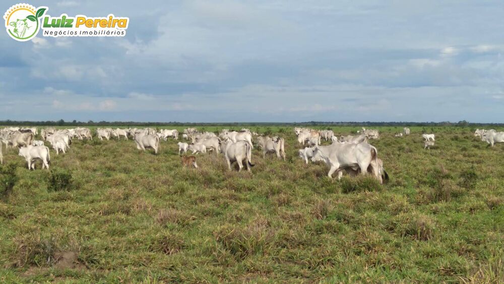 Terreno à venda, 12100000m² - Foto 1