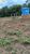 Terreno, 1210 hectares - Foto 4