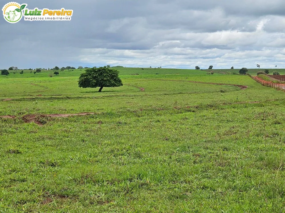 Terreno, 764 m² - Foto 11