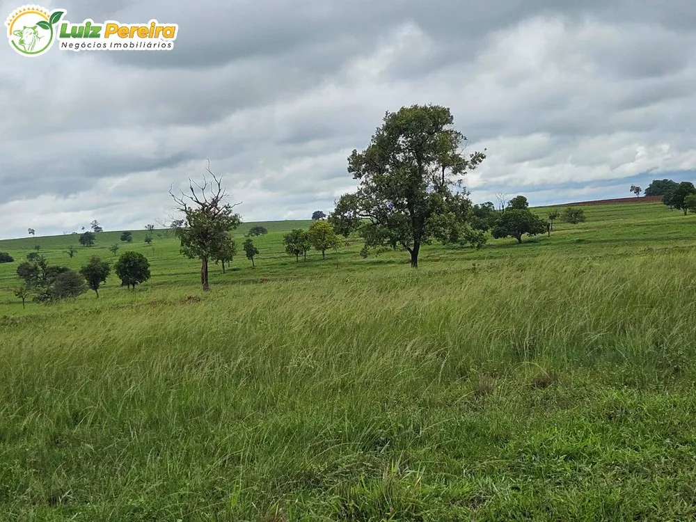 Terreno, 764 m² - Foto 6