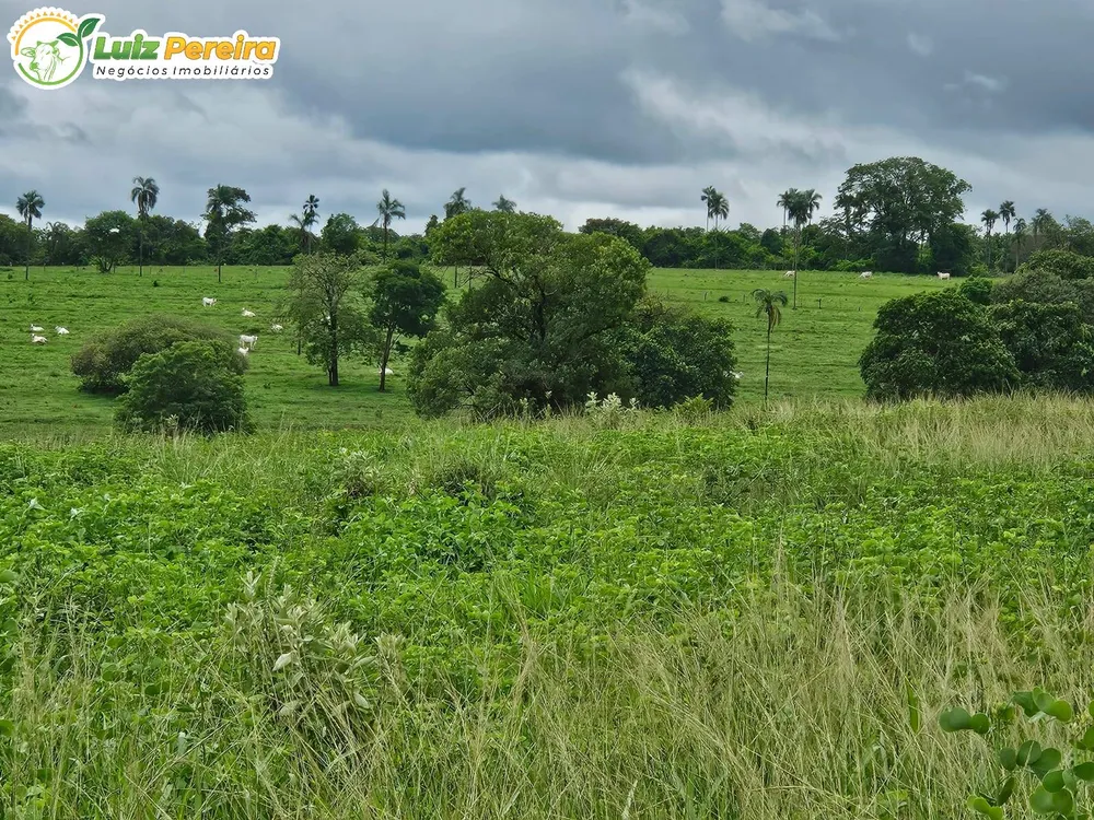 Terreno, 764 m² - Foto 10