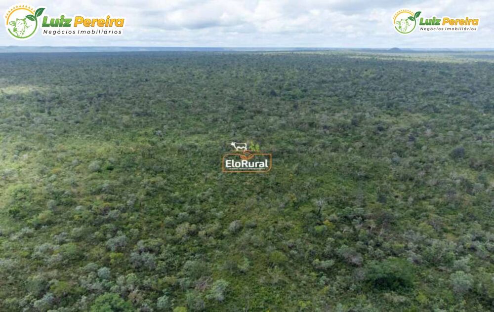 Terreno à venda, 7200m² - Foto 4