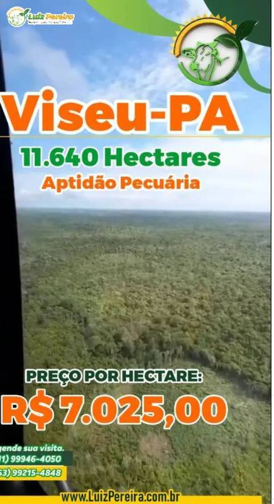 Terreno, 1 hectares - Foto 3