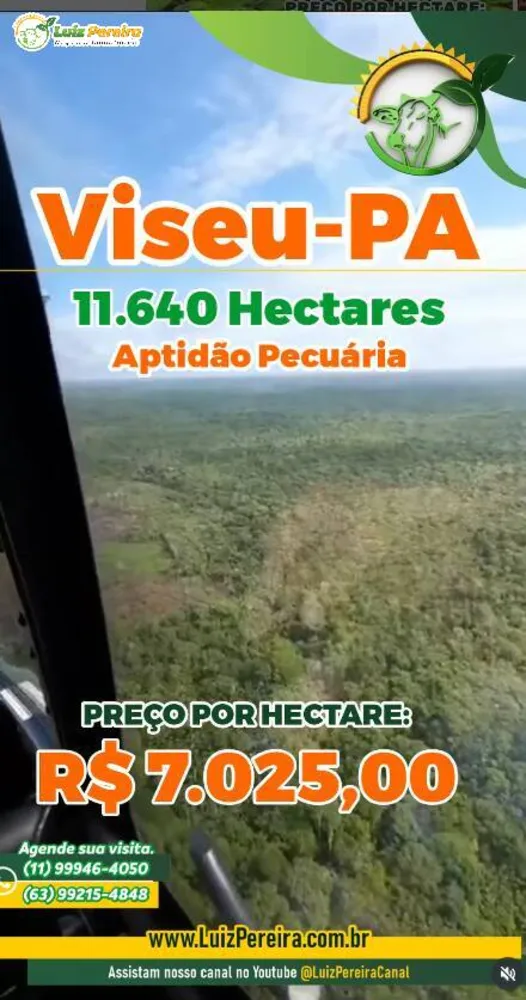 Terreno, 1 hectares - Foto 1