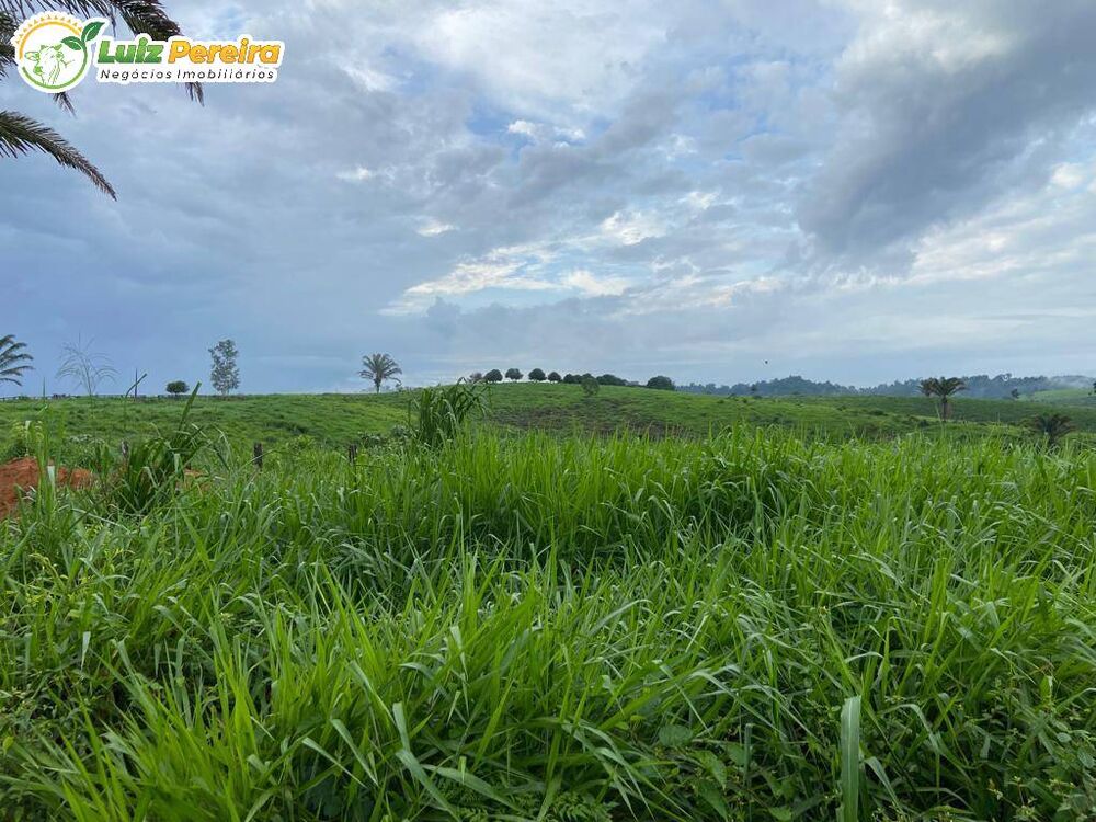 Terreno, 484 m² - Foto 7