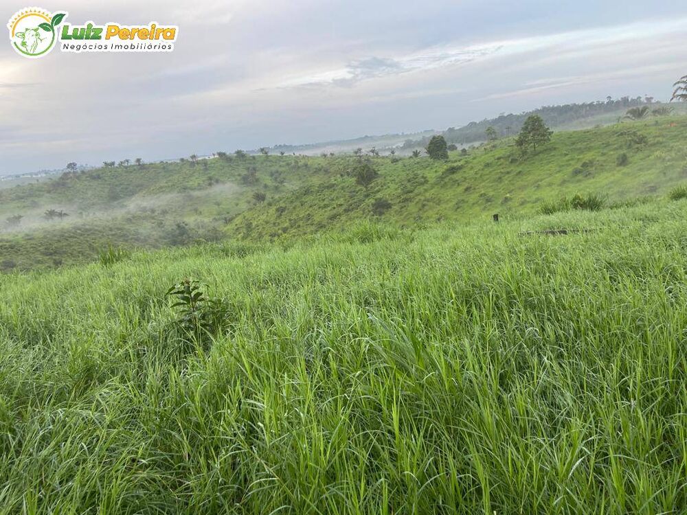 Terreno, 484 m² - Foto 10