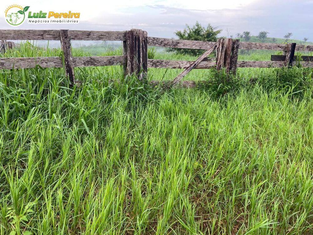 Terreno, 484 m² - Foto 8