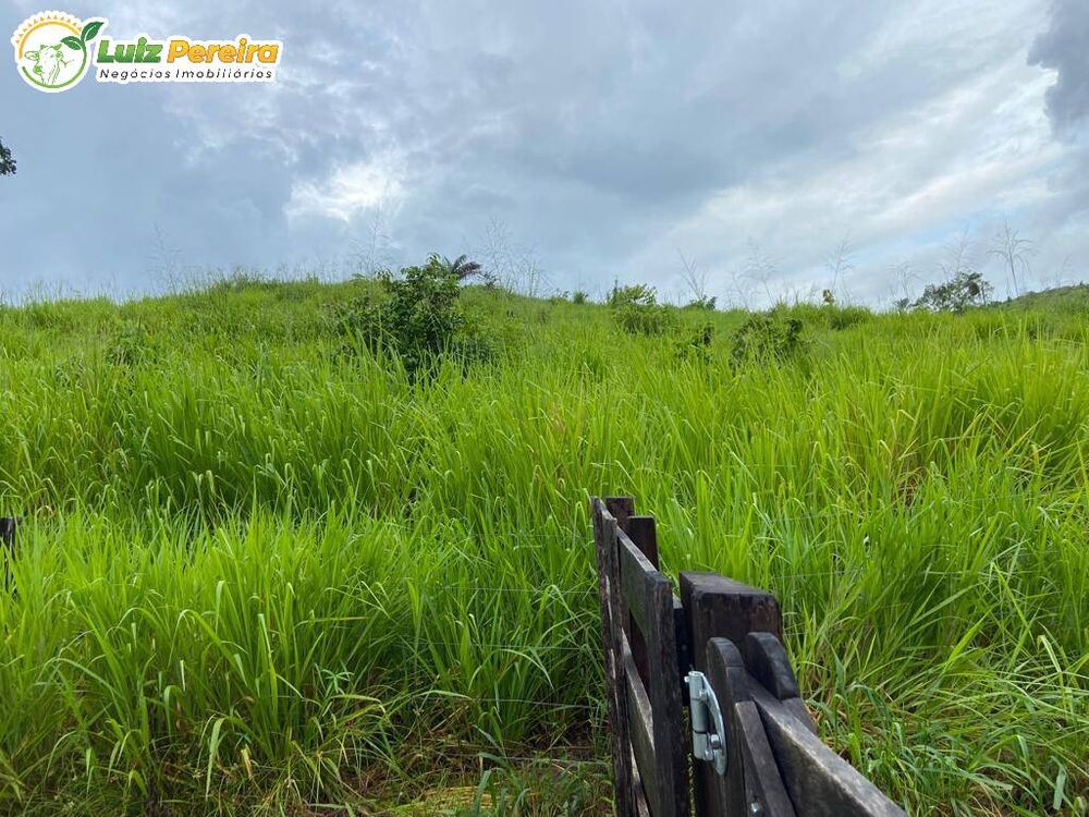 Terreno, 484 m² - Foto 13