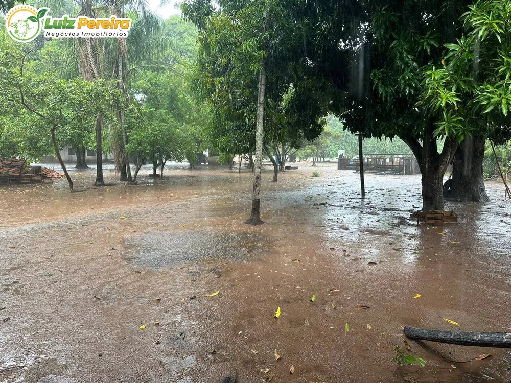 Terreno à venda, 10000m² - Foto 17