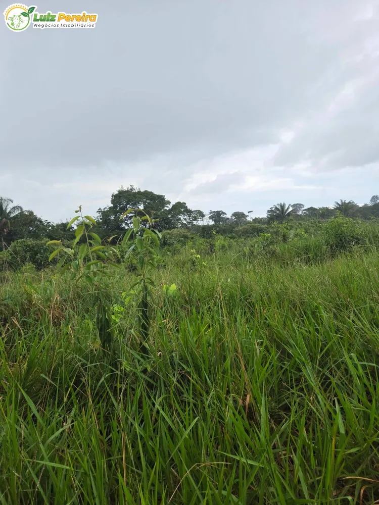 Terreno, 1000 m² - Foto 4