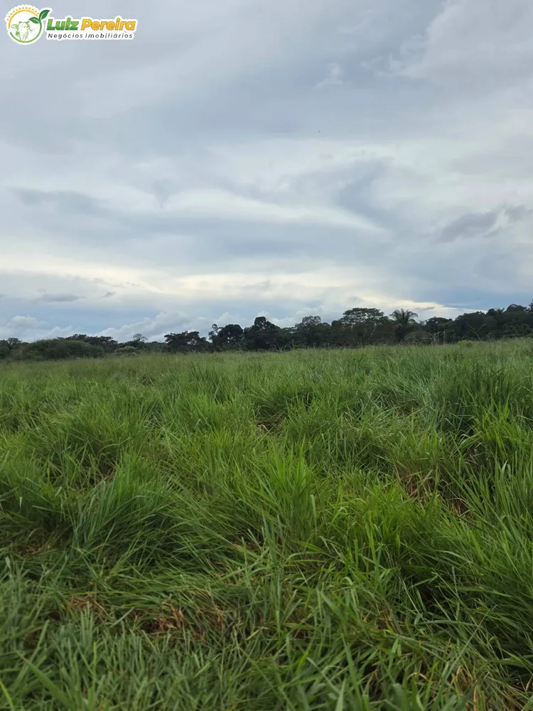 Terreno, 1000 m² - Foto 6