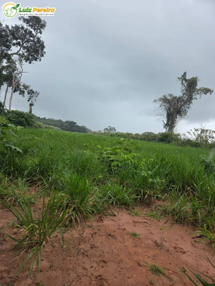 Terreno, 1000 m² - Foto 7