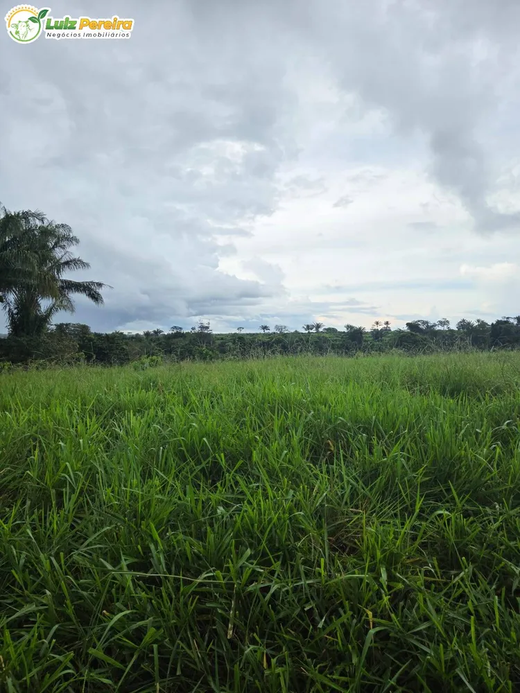 Terreno, 1000 m² - Foto 3