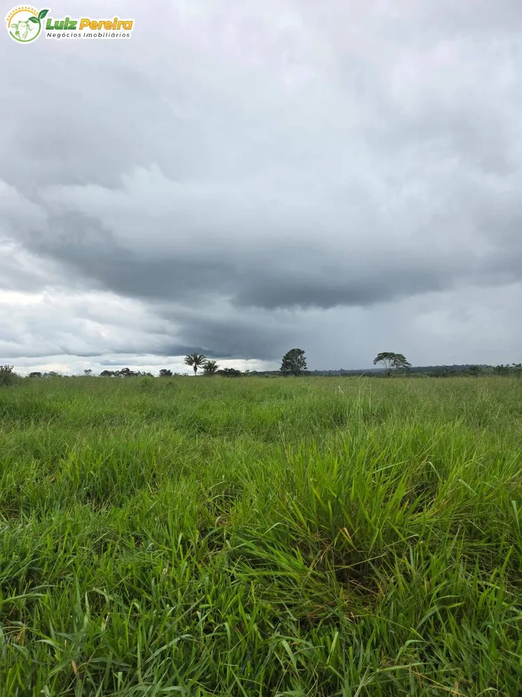 Terreno, 1000 m² - Foto 5