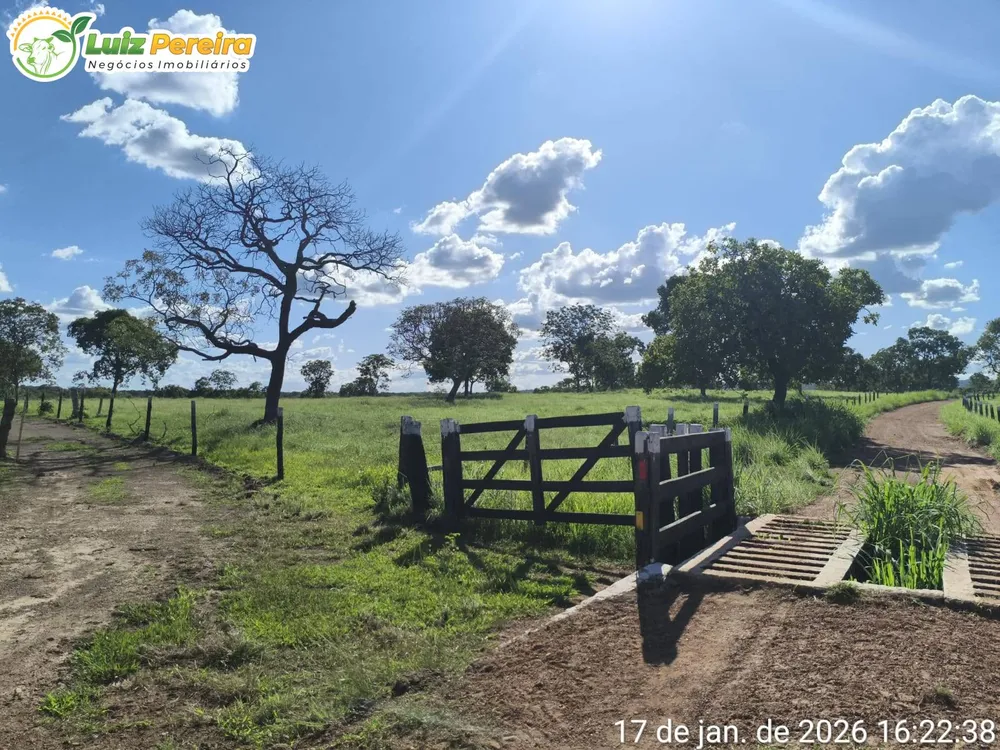 Terreno, 2439 m² - Foto 4
