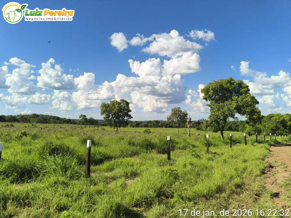 Terreno, 2439 m² - Foto 4