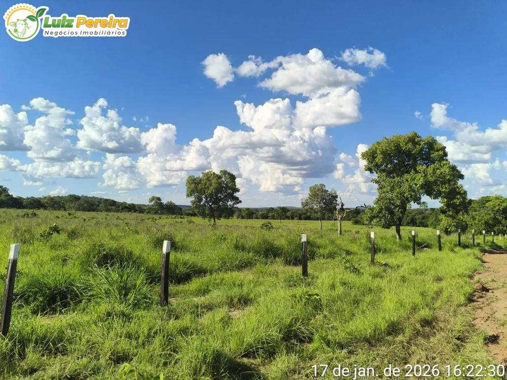 Terreno, 2439 m² - Foto 10