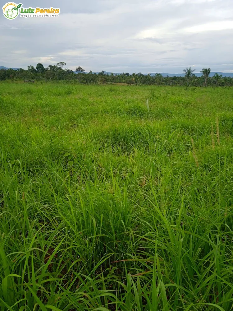 Terreno, 532 hectares - Foto 3
