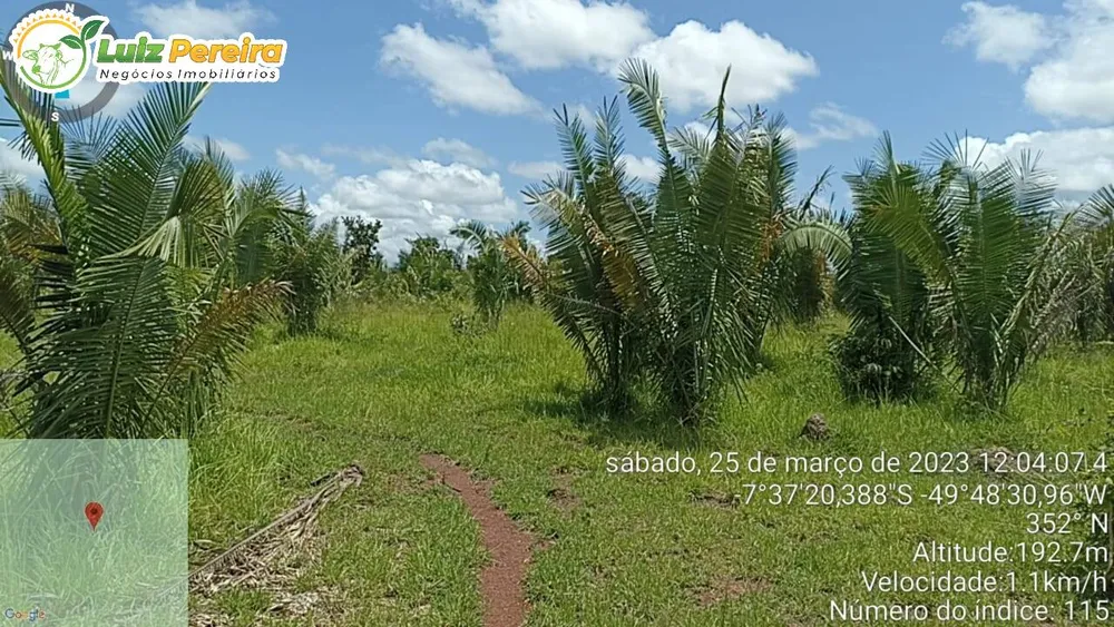 Terreno, 532 hectares - Foto 2