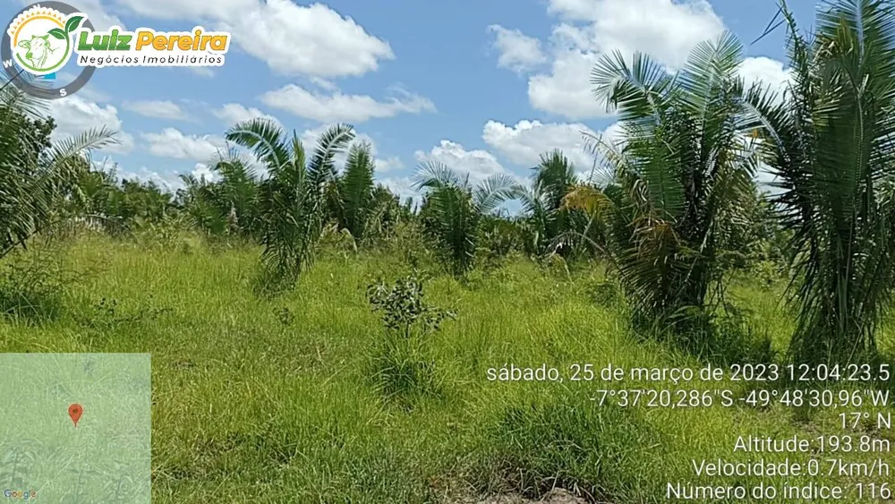 Terreno, 532 hectares - Foto 1