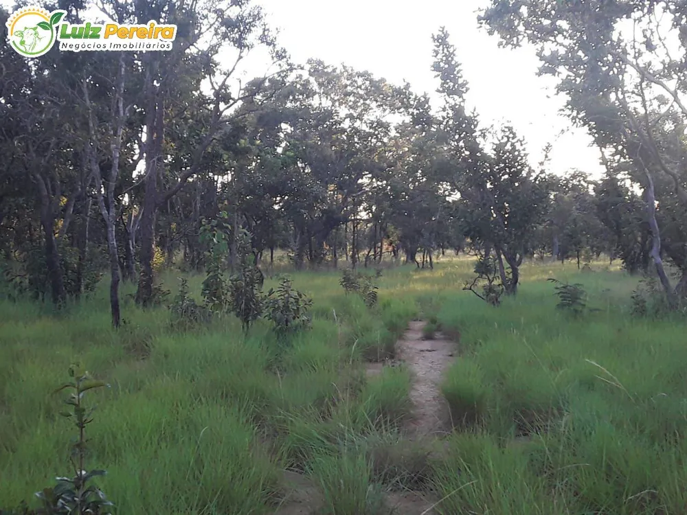 Terreno, 363 hectares - Foto 1