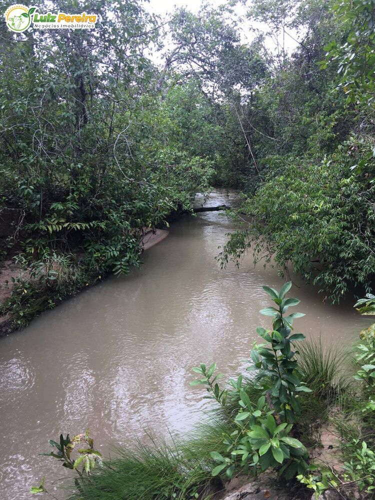 Terreno, 363 hectares - Foto 4