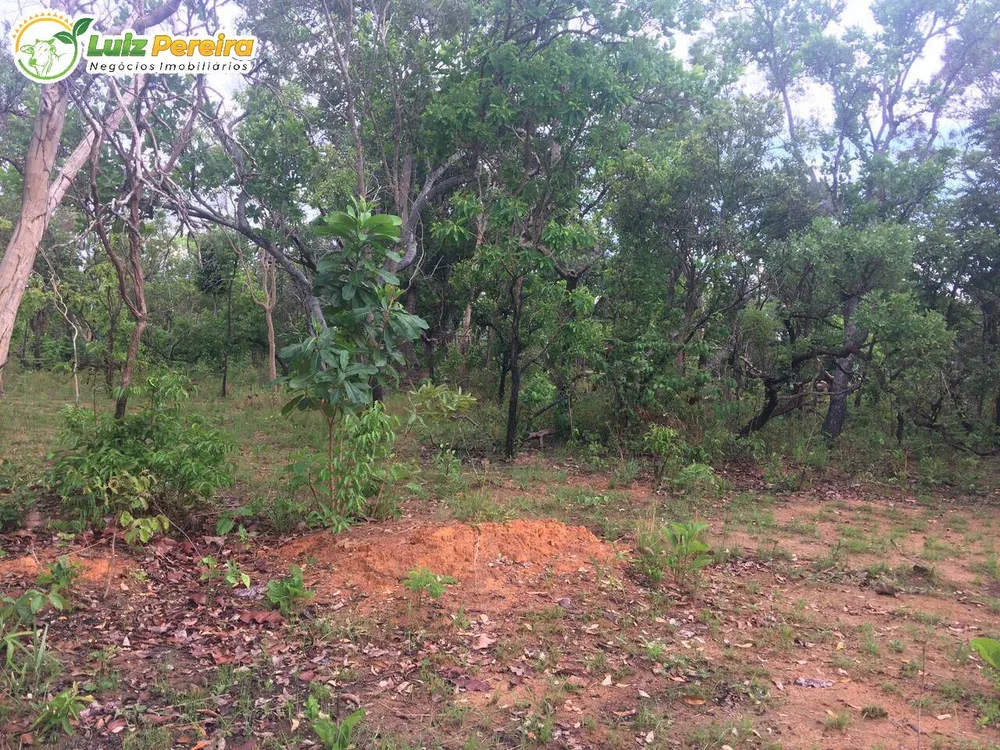 Terreno, 363 hectares - Foto 3