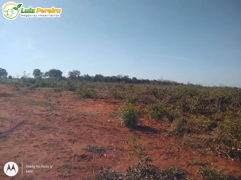 Terreno, 200 hectares - Foto 3