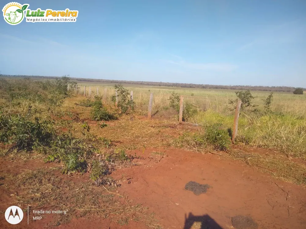 Terreno, 200 hectares - Foto 1