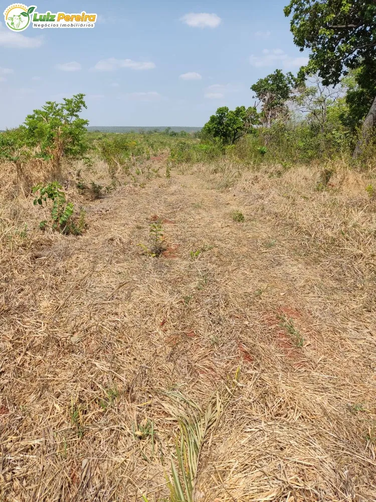 Terreno, 410 hectares - Foto 4