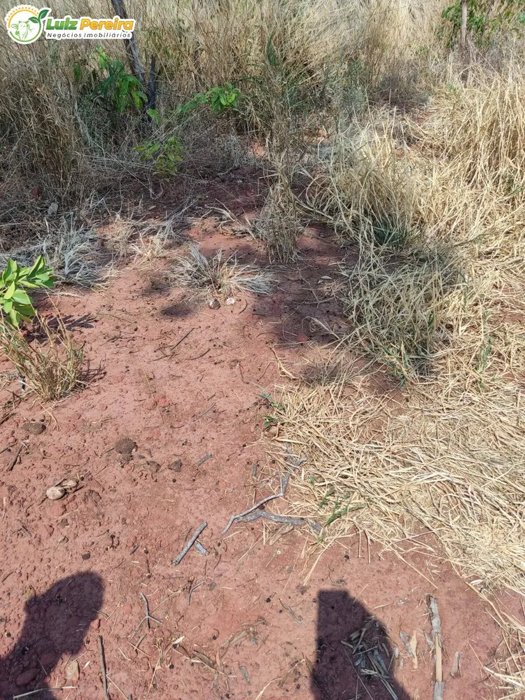 Terreno, 410 hectares - Foto 15