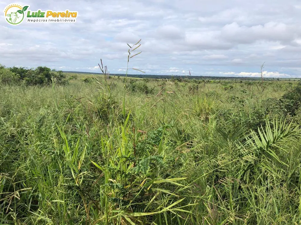 Terreno, 410 hectares - Foto 1