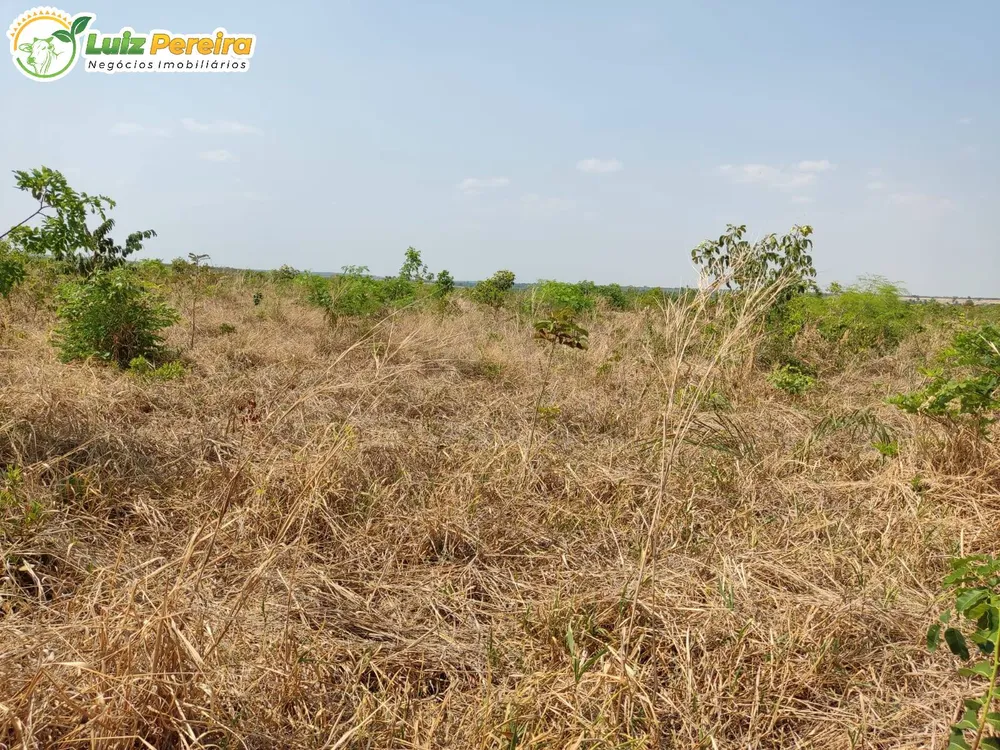 Terreno, 410 hectares - Foto 2