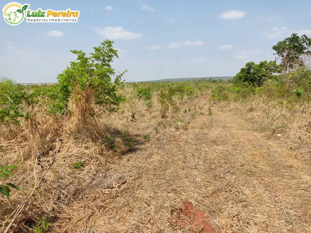 Terreno, 410 hectares - Foto 3