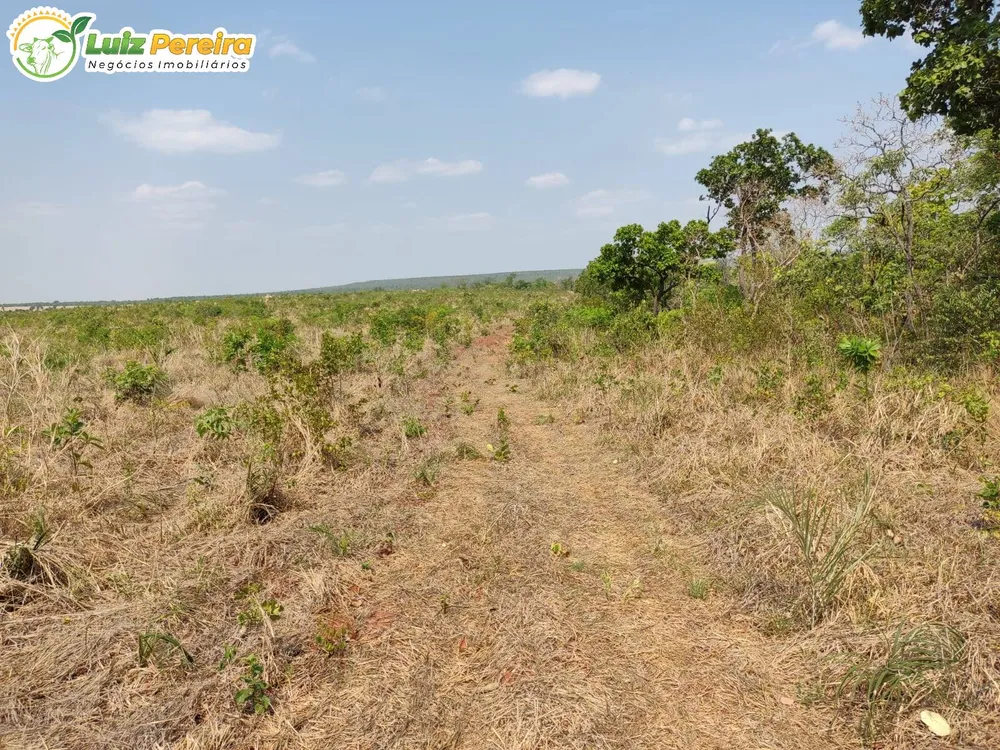 Terreno, 410 hectares - Foto 10