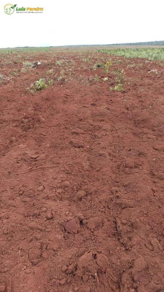 Terreno, 410 hectares - Foto 17