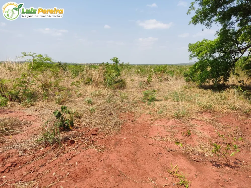 Terreno, 410 hectares - Foto 9