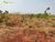Terreno, 410 hectares - Foto 1